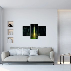 Tablou cu pădurea întunecată (90x60 cm)