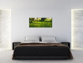 Tablou cu natura - lunca (120x50 cm)