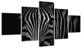 Tablou cu zebră (125x70 cm), în 40 de alte dimensiuni noi
