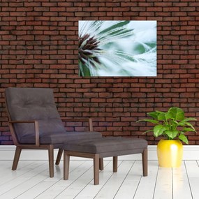 Tablou - Detaliu floare (70x50 cm)