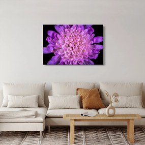 Tablou detailat cu floare (90x60 cm)