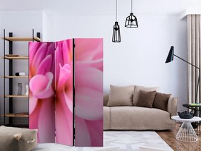 Paravan - Flower petals - dahlia [Room Dividers]