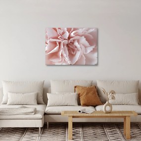 Tablou - Detaliu flori (70x50 cm)
