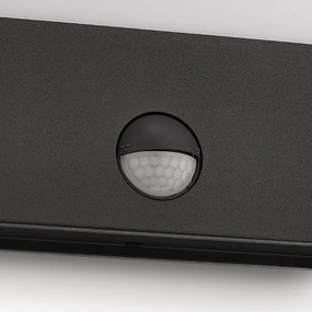 Corp de iluminat LED de exterior cu senzor RACCOON 1xLED/3W/230V IP44 Philips 17274/93/16