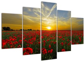 Tablou cu câmp cu maci (150x105 cm)