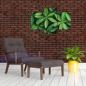 Tablou - Frunze cu picături de rouă (90x60 cm)