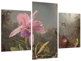 Tablou - Martin Johnson Heade, Cattleya Orchid and Three Hummingbirds, reproducere (90x60 cm)