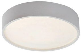 Plafonieră cu LED Rabalux 75012 Larcia, 19 W, argintiu