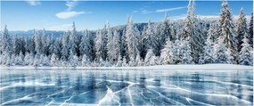 Tablou cu lacul înghețat și copacii înzăpeziți (120x50 cm)