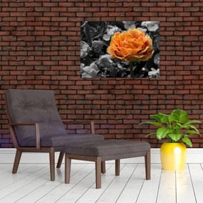 Tablou pe sticlă cu floare (70x50 cm)