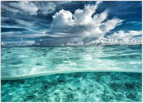 Tablou - privire sub nivelul mării (70x50 cm)