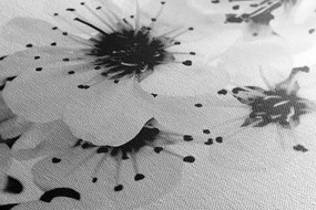 Tablou flori de cires alb-negru