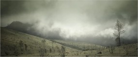 Tablou - Peisaj înainte de furtună (120x50 cm)