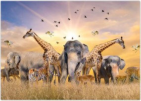 Tablou - Animae din Africa (70x50 cm)
