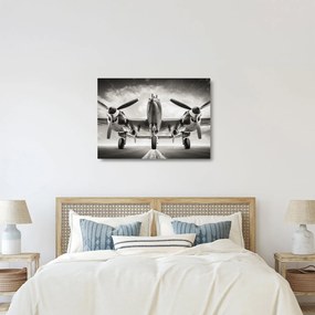 Tablou pe sticlă - Warbird (70x50 cm)