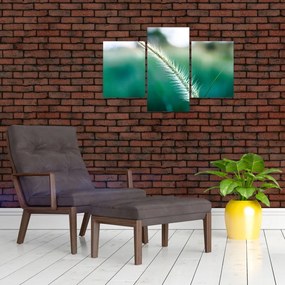 Tablou cu fir de iarbă (90x60 cm)