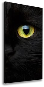 Print pe canvas Ochi de pisica