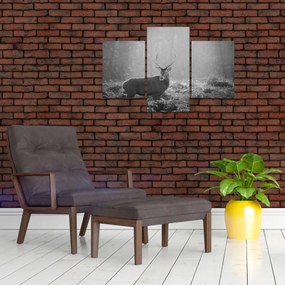 Tablou - Căprioare in pădure,alb-negru (90x60 cm)