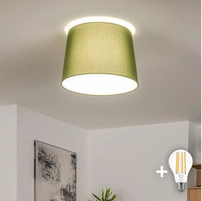 Brilagi - Plafonieră LED aplicată CERIA 1xE27/40W/230V, Ø 30 cm, verde