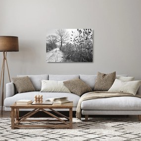 Tablou pe sticlă - Câmpuri în timpul iernii (70x50 cm)