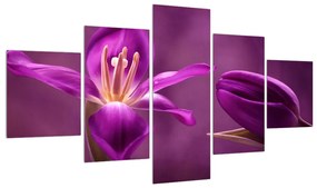 Tablou cu floare violet (125x70 cm), în 40 de alte dimensiuni noi