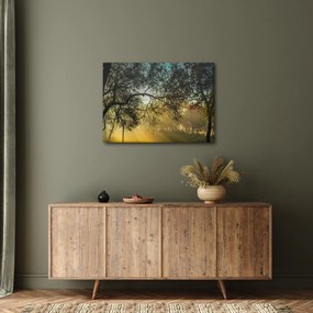 Tablou cu răsărit de soare (70x50 cm)