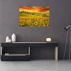 Tablou - Câmp de floarea-soarelui (90x60 cm)