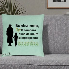 Cadou pentru Bunica - Perna Personalizata Bunica Mea Comoara cu Fluture si Baietel, 40x40 cm, Verde Menta, Husa Detasabila, Perna Inclusa, BEKZ®