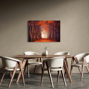 Tablou - Pădurea de toamnă (90x60 cm)