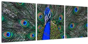 Tablou - Păun (cu ceas) (90x30 cm)