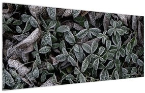 Tablou - Plante înghețate (120x50 cm)