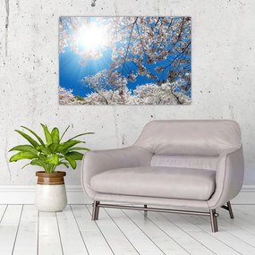 Tablou - Flori de cireș (90x60 cm)