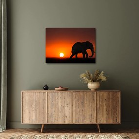 Tablou cu elefant în apus de soare (70x50 cm)