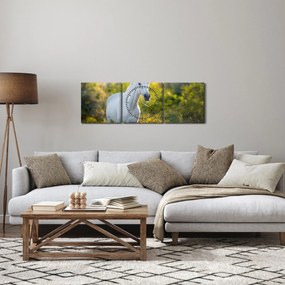 Tablou - Cal alb în poină (cu ceas) (90x30 cm)