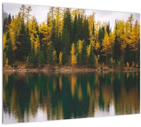 Tablou cu lac de pădure (70x50 cm), în 40 de alte dimensiuni noi