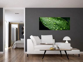 Tablou - Frunză după ploaie (120x50 cm)