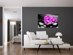 Tablou - Orhidee violet (90x60 cm)