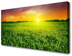 Tablou pe panza canvas Cereale Câmp Sunrise Floral Verde Roșu