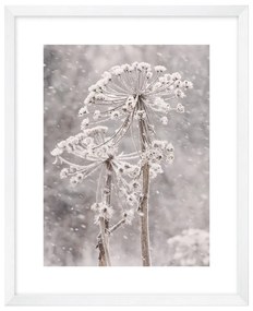 Tablou 40x50 cm Snow – knor
