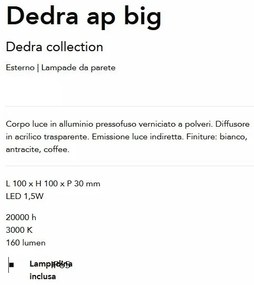 Aplica LED iluminat exterior ambiental IP65 Dedra ap big