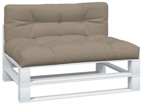 Perne pentru canapea din paleti, 2 buc., gri taupe 2, Gri taupe, 120 x 80 x 10 cm