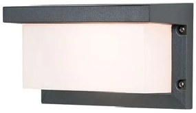 Aplica de perete pentru iluminat exterior, IP54 Cinco grafit