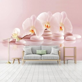 Fototapet - Relaxare în roz (152,5x104 cm), în 8 de alte dimensiuni noi