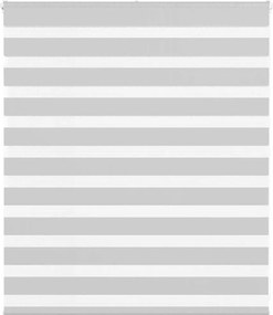 vidaXL Jaluzea tip zebra gri deschis lățime țesătură 125,9cm poliester