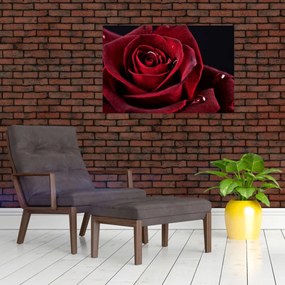 Tablou - Trandafir roșu (90x60 cm)