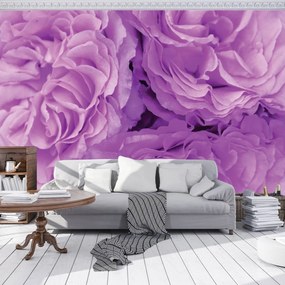 Fototapet - Flori (152,5x104 cm)
