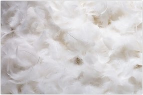 Tablou - Pene albe (90x60 cm)