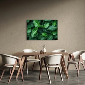 Tablou - Frunze verzi (90x60 cm)