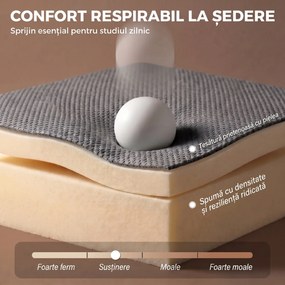 HOMCOM Canapea Extensibilă 2 Locuri 3 în 1, Tip In, cu 2 Perne, Extractibilă Click-Clack, Gri | Aosom Romania