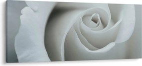 Tablou - Trandafirul alb (120x50 cm)